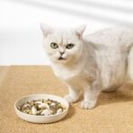 Dogs And Cats Slow Feeding Bowl Pet Bowl Cat Slow Tableware Feeder - Image 6