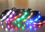 Vibrant LED Dog Collar - Image 2
