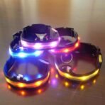 Vibrant LED Dog Collar - Image 3
