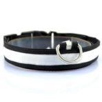 Vibrant LED Dog Collar - Image 10