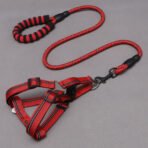 Pet Supplies Dog Leash Dog Leash Chest Harness - Image 3
