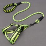 Pet Supplies Dog Leash Dog Leash Chest Harness - Image 5