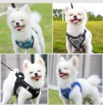 Dog Chest Harness Traction Suit Clothes Dog Chain Dog Leash - Image 9
