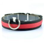 Vibrant LED Dog Collar - Image 7