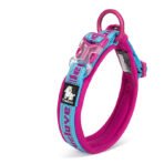 Dog Collar Harness Large Dog Training - Image 2