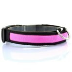 Vibrant LED Dog Collar - Image 8