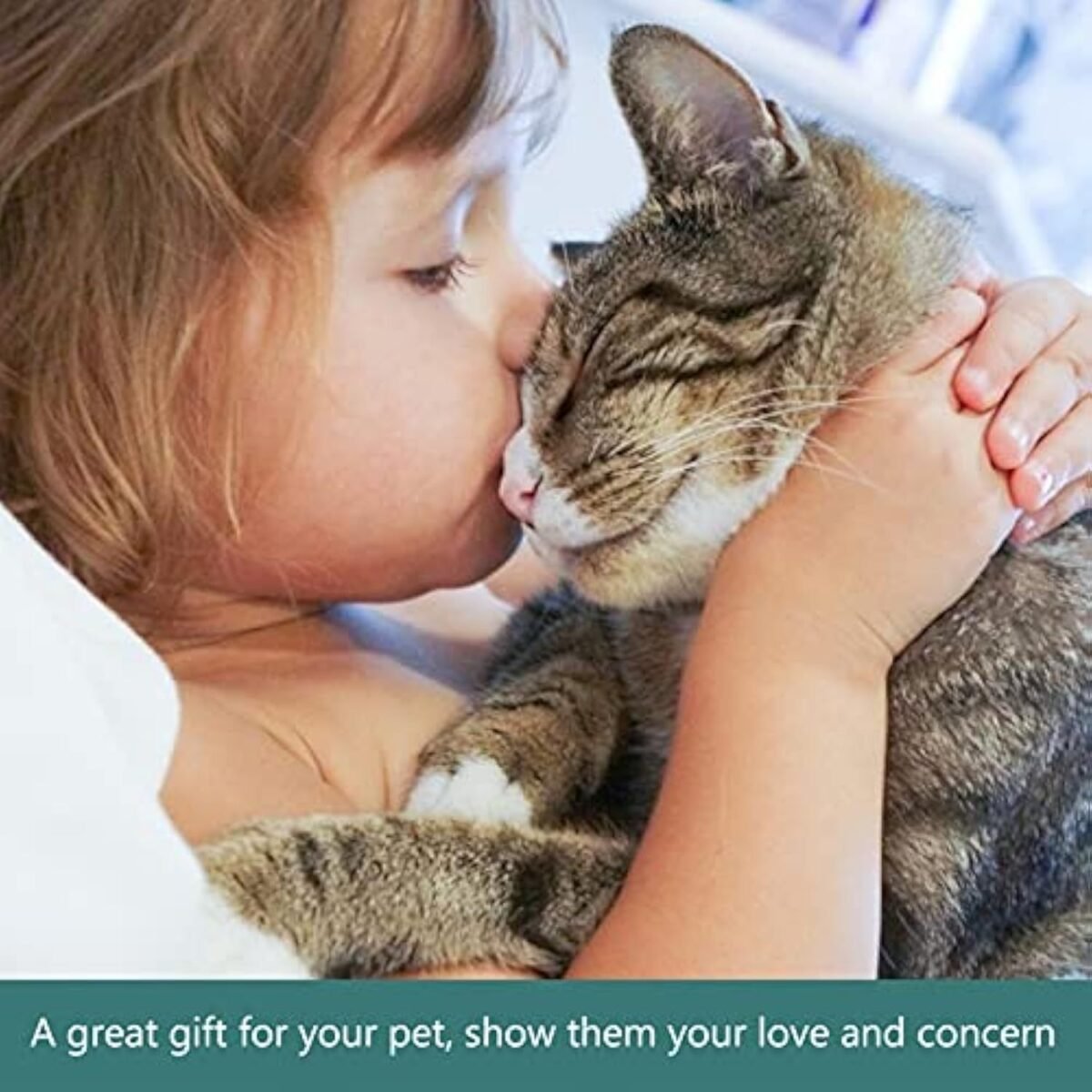 Pet Bowl Pet Feeding Bowl Slow Feeding Bowl Pet Feeding Equipment Dog Bowls - Image 6