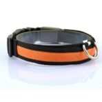 Vibrant LED Dog Collar - Image 6