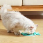 Slow Feeder Pet Slow Food Bowl Dog Feeder Licking Pad Cat Bowl Dog Basin Pet Feeder TPR Convenient To Carry - Image 3
