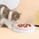 Dogs And Cats Slow Feeding Bowl Pet Bowl Cat Slow Tableware Feeder - Image 4