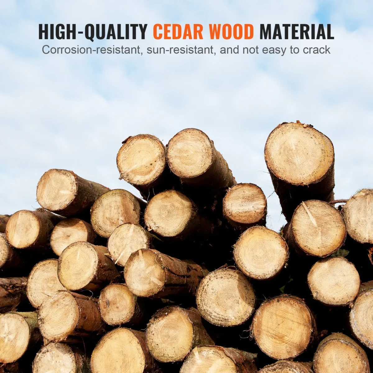 55346a23 9fdb 435c Af0a Cde4daa81515