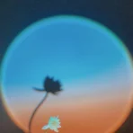 6b0851db 280a 4046 9e5d Cef3d25bdf17