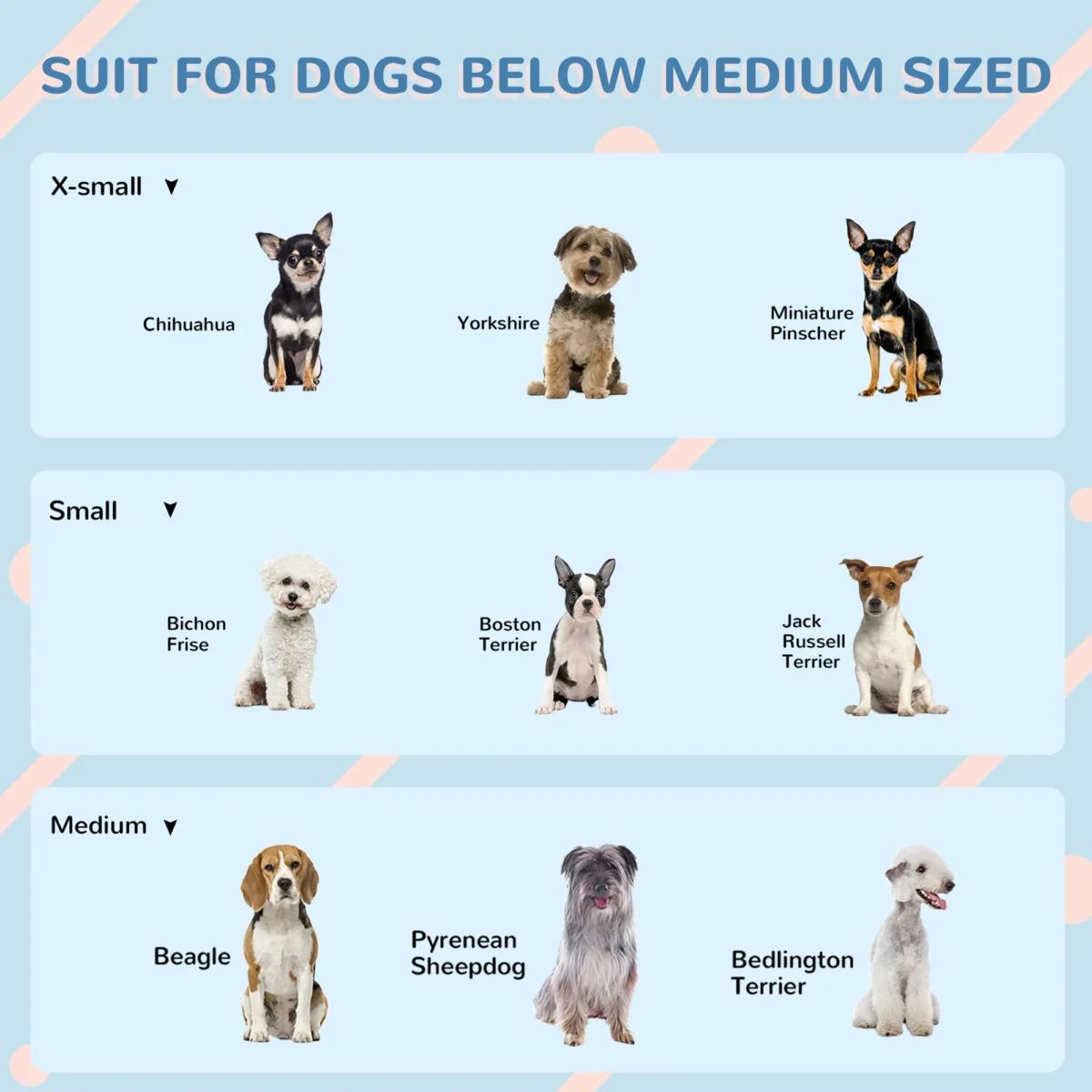 85117c8e 2d2b 4520 Af87 D8841ef5d75c