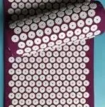 Yoga Cushion Acupuncture 5